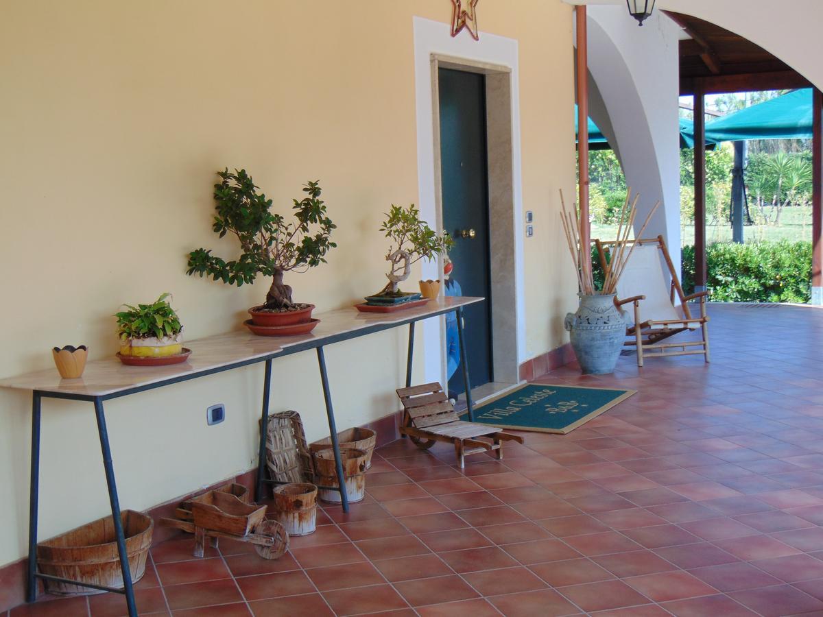 Villa Celeste B&B Pontecagnano Ngoại thất bức ảnh